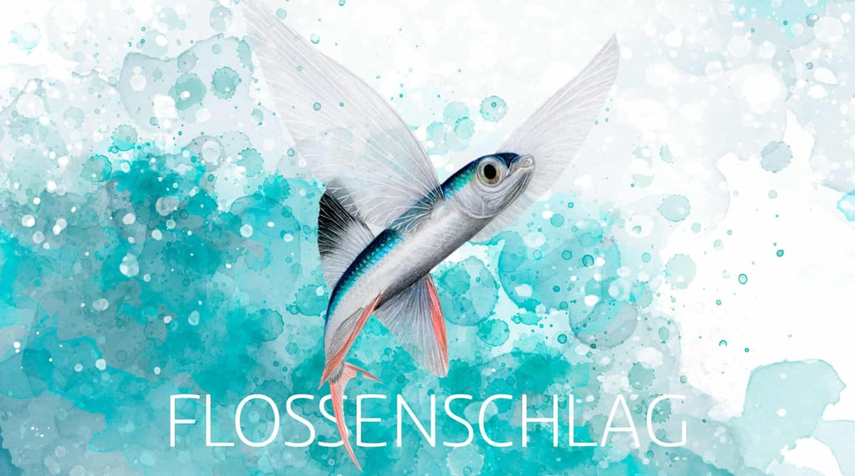 Flossenschlag – Das neue Brettspiel-Highlight von Feuerland Spiele