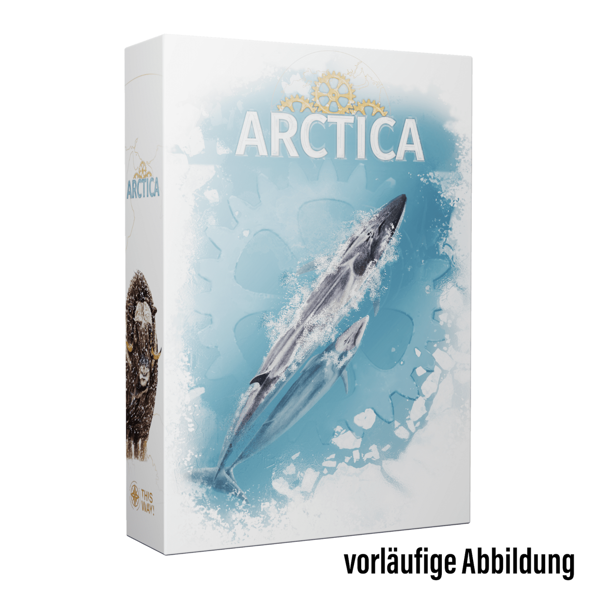 Vorläufige Schachtelillustration von Arctica