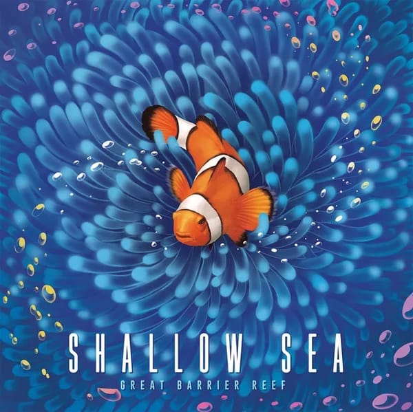 Shallow Sea: Strohmann Games kündigt farbenfrohes Unterwasser-Plättchenlegespiel an